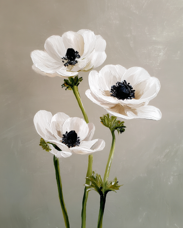 Malen nach Zahlen - Weiße Anemonen mit dunklen Kernen
