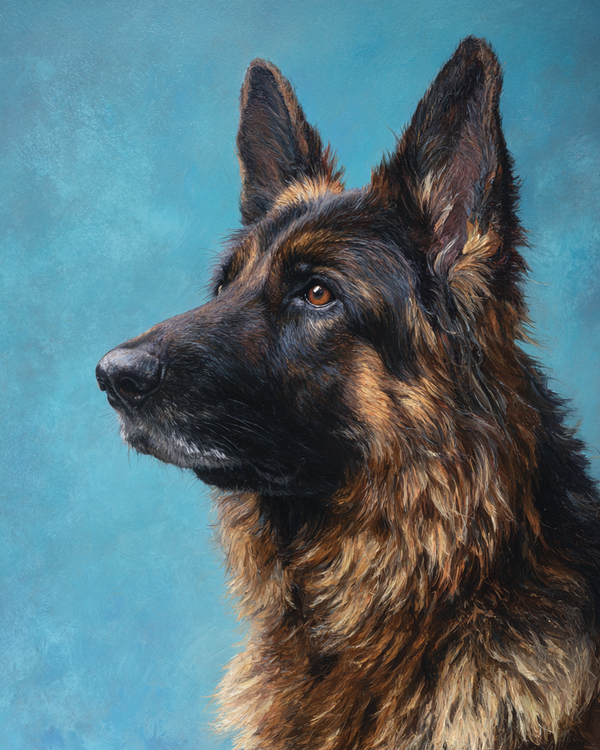 Malen nach Zahlen – Deutscher Schäferhund Portrait