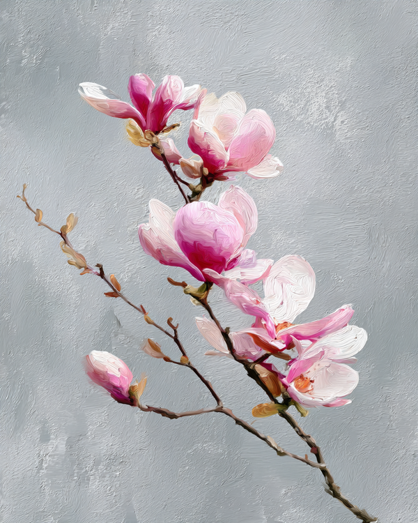 Malen nach Zahlen Magnolienzweig mit rosa-weißen Blüten